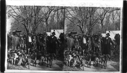 A pack of fox hounds and their victims, two prairie wolves and a gray fox, a hunting camp, Kansas