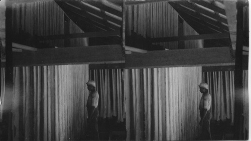 Strips of Crepe Tubber. Drying Rubber. This Process Takes Ten Days Or Two Weeks. Basilan Island, P.I