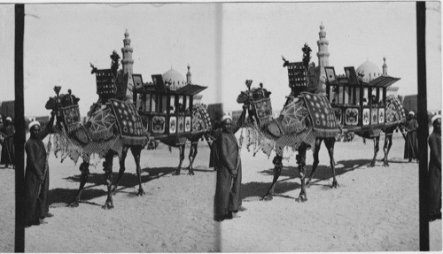 Arab wedding Carriage Cairo, Egypt