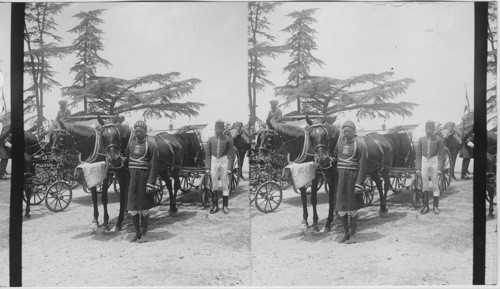 Viceroy’s Carriage - Christ Church. Simla - India