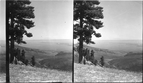 Across Painted Desert and Marble Gorge of Colorado River from East Rim of Kaibab Plateau. Ariz