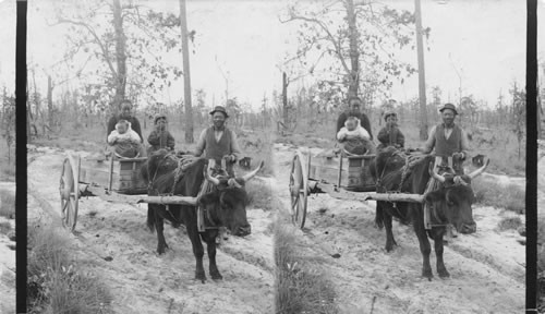 Free and happy in his crude prosperity - life in the "sand belt" of N. Carolina