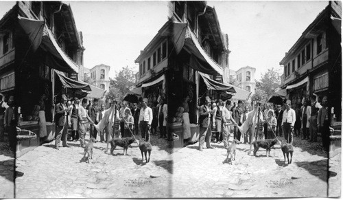 Street Scene, Constantinople Turkey