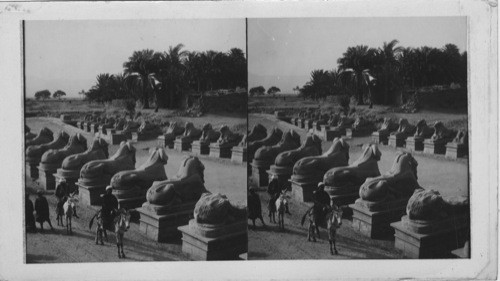 Near view of the Avenue of Sphinxes, Leading from the First Pylon to the North at Karnak, Egypt