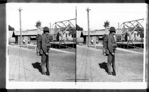 A U.S. Sergeant in Mexico in Full Field Quick Consisting of 2 Day's Rations and 220 Rounds of Ammunition