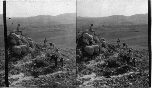 Lower Gate, Samaria