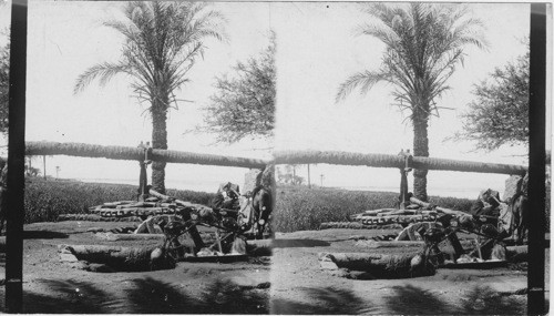 A water wheel for irrigation, show jars in action, along the River Nile. Egypt