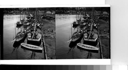 British West Indies - Island of St. Lucia - Castries: Small cargo schooners in the harbor of Castries. these small boats ply between the islands, carrying cargo from one to the other