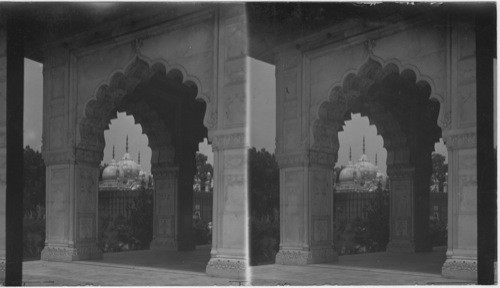 The Pearl Mosque, Delhi, India