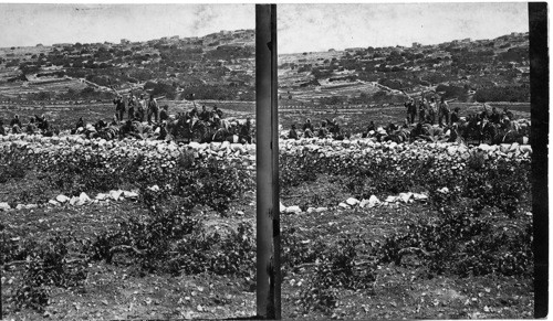 Site of Ancient Beeroth, a Caravan from Damascus to Jerusalem Passing in the Foreground