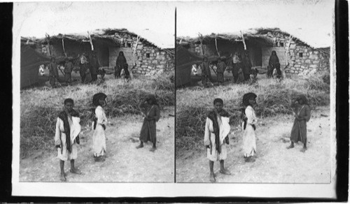 A Rome in Jericho, Palestine typical of much of the life of today