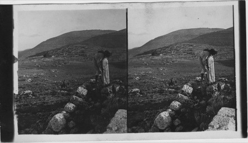 Shiloh, Scene of Old Religious Assemblies, Palestine