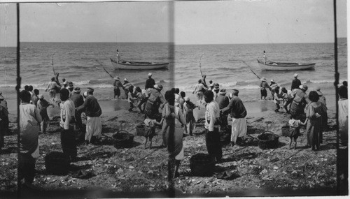 Fishermen Alexandria, Egypt