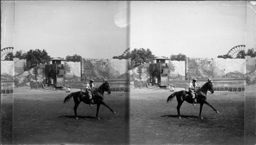 High School riding by Frank E. Fillis on "Provero" Boer war. La. Purchase Exposition. St. Paul, Mo