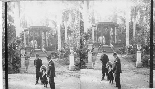 Tropical luxuriance of the botanical gardens, favorite pleasure resort of Lima, Peru