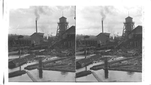 Mill Pond and Sawmill. Bellingham, Wash