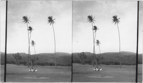 Waialae Golf Course played on by perhaps more people from different parts of the world than any other course in existence