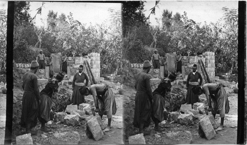 Stone Masons at Work, Palestine
