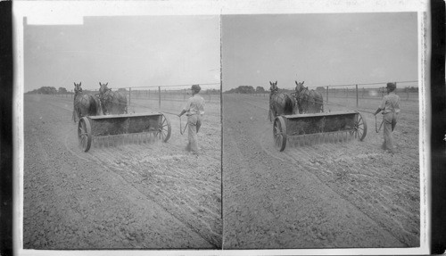 New Jersey. Spreading commercial fertilizer by machinery on a new Jersey Field