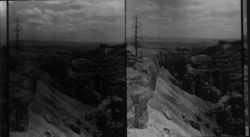 Detail of Wall at Midway Point. Bryce Canyon, Utah