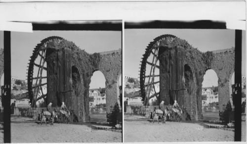 Through the Syrian town of Hama flows the river Orontes, the only source of water for the town’s many little gardens planted on the sloping banks. The giant waterwheels, called “nouriahs” lift the river water onto aquaeducts from where the water runs to the gardens. The huge wheels run on a wooden axle that rests on a wooden bearing, water being the only lubrication. The axle creaks in the bearing. This noise (of about thirty-four nouriahs) can be heard all over the town of Hama