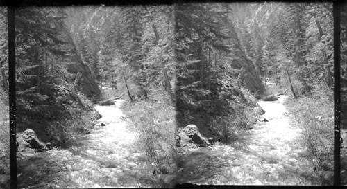 Below the Seven Falls, South Cheyenne Canyon