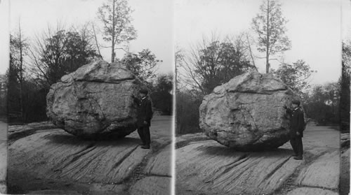 Glacial Boulder and Glacial Scratches. Bronx Park. New York City, N.Y