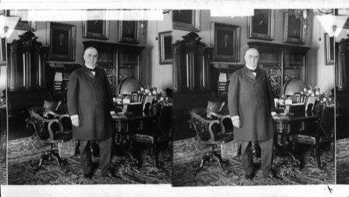 William McKinley, The Nation's President in the Cabinet Room of the White House Washington