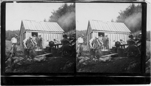 Buchanan Boys Picnics at Smuggler's Cove. Alaska