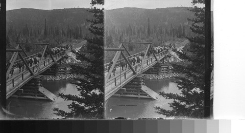 Packtrain crossing bridge. Canada. Alta