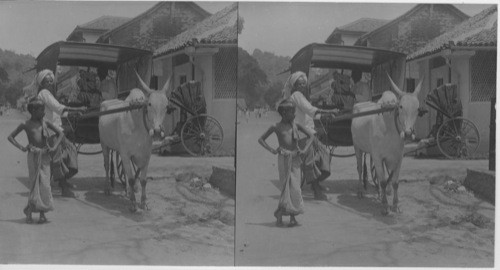 A Banana Wagon in India