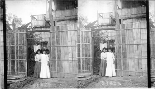 Native Bamboo House. Guayaquil. Ecuador