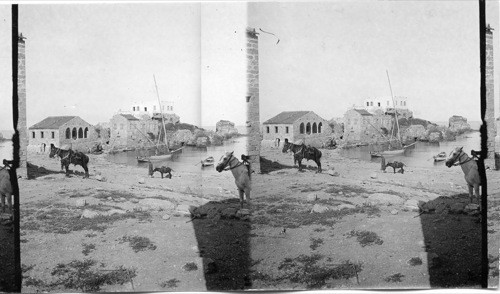 Caesarea (To South), Palestine. Asia