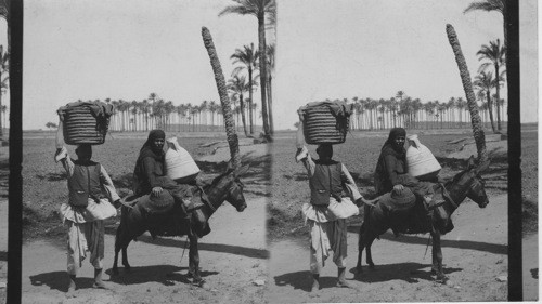 Going to Market, Bedrashen, Egypt