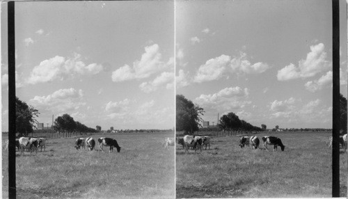 Lincoln Highway; Farm scene near Grand Junction, Nebr