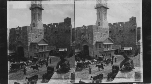 The Jaffa Gate, Jerusalem