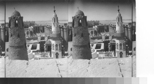 Deserted Temple of Luxor. S.W. from first pylon - Egypt. This is a lantern slide. Could be made into beautiful moonlight subject