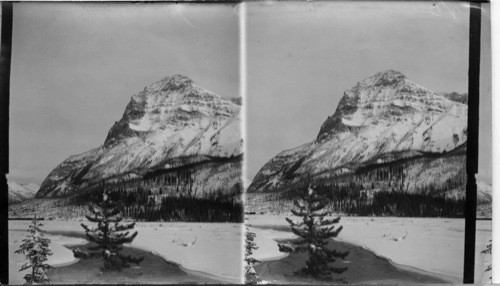 Mount Stephen and the Kicking Horse River Near Field, B.C., Can