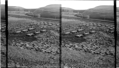 Winter Quarters, Ruggs Ranch, Pendleton, Oregon