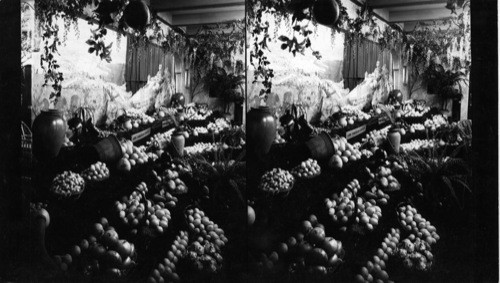 California Exhibit, Century of Progress, 1933. [Aerial photograph of Los Angeles County and samples of many kinds of fruit.]