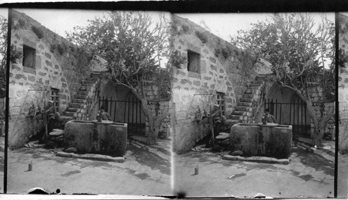 House of Simon the Tanner- Jaffa, Palestine