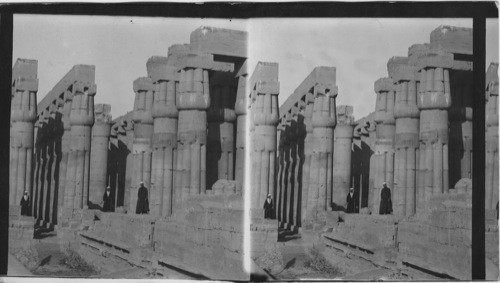 Columns of Hypostyle Hall- Temple of Luxor, Egypt