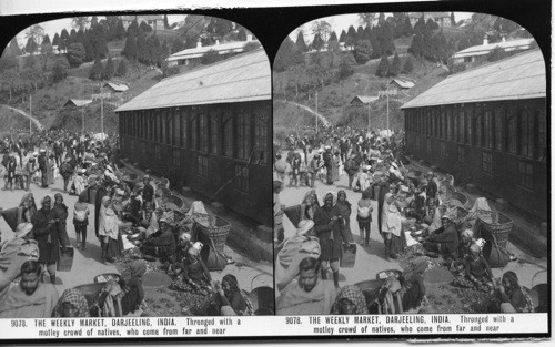 9078. THE WEEKLY MARKET, DARJEELING, INDIA. Thronged with a motley crowd of natives, who come from far and near