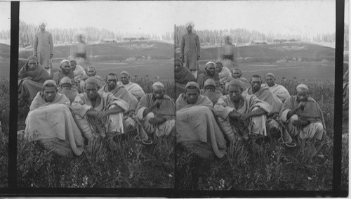 Group of Cahmeris - Gulmarg, India