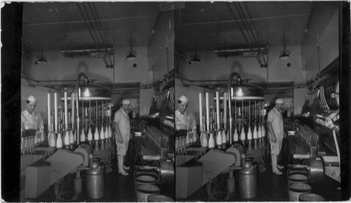 Machine for Automatic Filling and Capping of Bottles of Milk, New York State. 600 Set. No. 46, 600 W.T. No.45