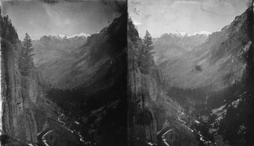 Looking up Toltec Gorge, Colo. Poor Neg. Good Subject. [Neg. destroyed Brigandi 10/29-86 RM]