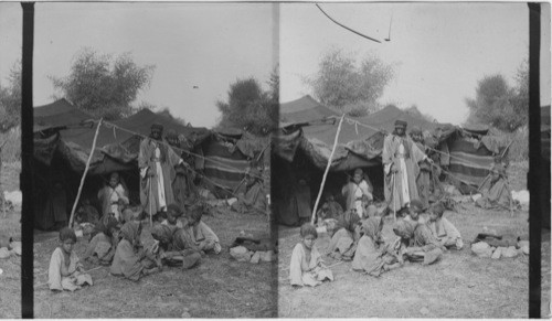 Bedouin Tent, Palestine