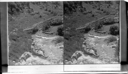 The Source of the Jordan Caesarea Philippi, Palestine (Banias)