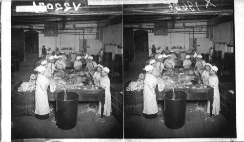 Sorting and Salvage Tables in Rag Room, Paper Factory, Bangor, Maine