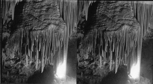 The ox draperies in the Hall of Giants, Carlsbad Caverns National Park, New Mexico